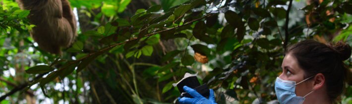 Støvsugning af dyrs DNA – fra Danmark til Madagascar